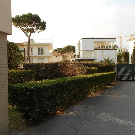 Arsella Viareggio