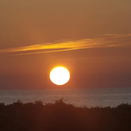 Arsella * Viareggio